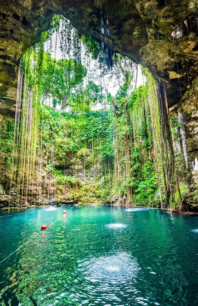 Cenote abierto de aguas turquesas con paredes de roca y vegetación colgante en la Riviera Maya, México.